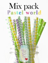 メイソンジャー Ball Mason jar タンブラー エコ 再生可能 紙ストロー25本入り サーキュラーエコノミー ミックスパック Pastel World