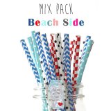 メイソンジャー Ball Mason jar タンブラー エコ 再生可能 紙ストロー25本入り サーキュラーエコノミー ミックスパック Beach Side