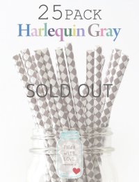 メイソンジャー Ball Mason jar タンブラー エコ 再生可能 紙ストロー25本入り サーキュラーエコノミー Harlequin Gray