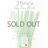 メイソンジャー Ball Mason jar タンブラー エコ 再生可能 紙ストロー25本入り サーキュラーエコノミー Zig Zag Mint