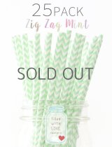 メイソンジャー Ball Mason jar タンブラー エコ 再生可能 紙ストロー25本入り サーキュラーエコノミー Zig Zag Mint