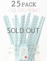メイソンジャー Ball Mason jar タンブラー エコ 再生可能 紙ストロー25本入り サーキュラーエコノミー Zig Zag Aqua