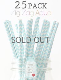 メイソンジャー Ball Mason jar タンブラー エコ 再生可能 紙ストロー25本入り サーキュラーエコノミー Zig Zag Aqua