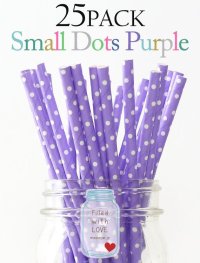 メイソンジャー Ball Mason jar タンブラー エコ 再生可能 紙ストロー25本入り サーキュラーエコノミー Small Dots Purple