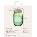 画像6: 【6個セット】限定グリーン メイソンジャー 16oz(473ml) レギュラーマウス 箱入り Ball Mason jar オリジナル