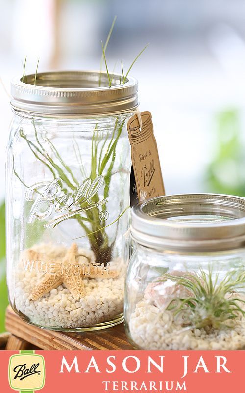 メイソンジャー Ball Mason Jar メイソンジャーテラリウム ワイドマウス32oz テラリウムメイソンジャー メイソンジャープランツ 植物 ギフト