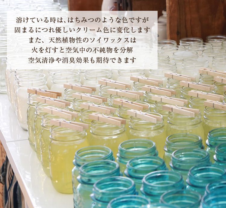 3kg 天然植物性ソイワックス 素材 キャンドル ロウソク フレーク 植物性ワックス ソイキャンドル