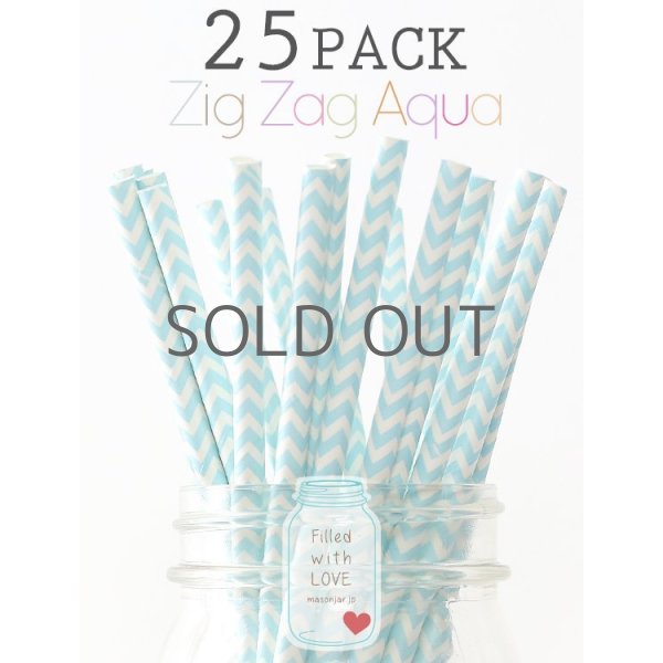 画像1: メイソンジャー Ball Mason jar タンブラー エコ 再生可能 紙ストロー25本入り サーキュラーエコノミー Zig Zag Aqua (1)